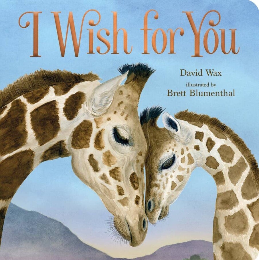 Lifestyle Macmillan Books | I Wish For You