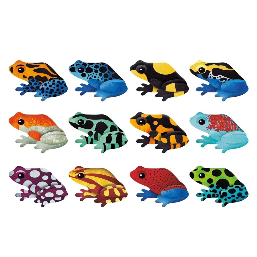 Lifestyle Mudpuppy | Tropical Frogs Memory Game