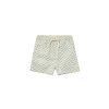 Child Rylee and Cru | Seafoam Check Boardshort