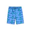 Child Tea | Turtle Full-Length Swim Trunks