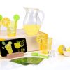 Lifestyle Fat Brain Toys | Pretendables Lemonade Set