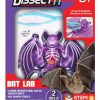 Lifestyle Tangle Creations | Dissect-It Bat Lab